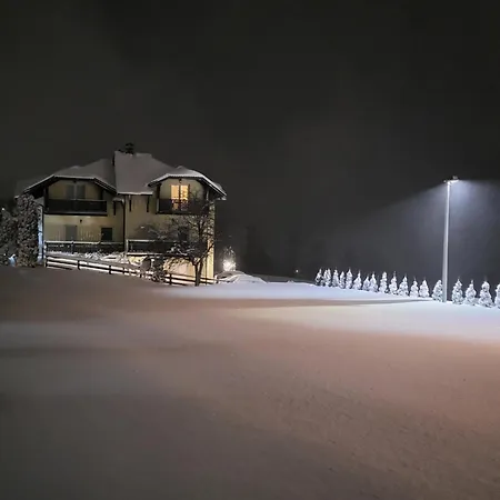 Velickovic Zlatibor