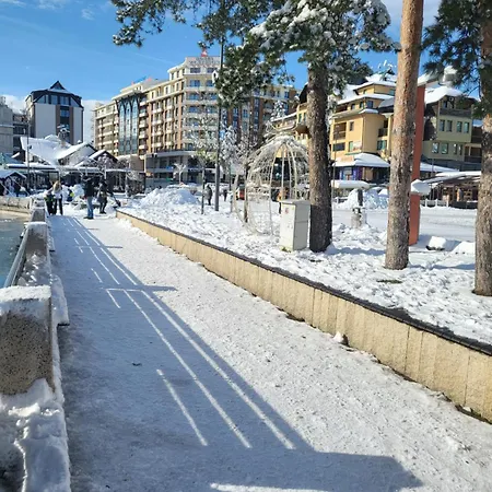 Velickovic * Zlatibor