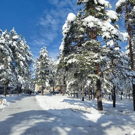 Velickovic Appartement Zlatibor
