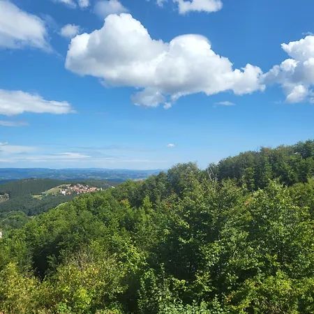 Velickovic * Zlatibor