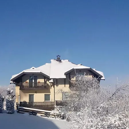 Velickovic 즐라티보