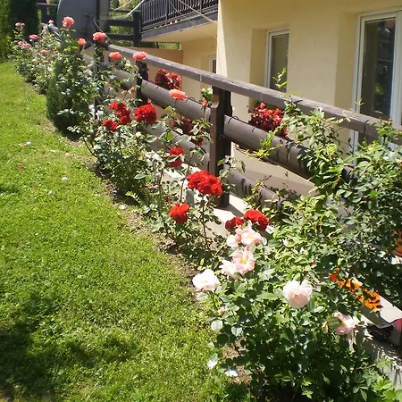 Velickovic Apartment *