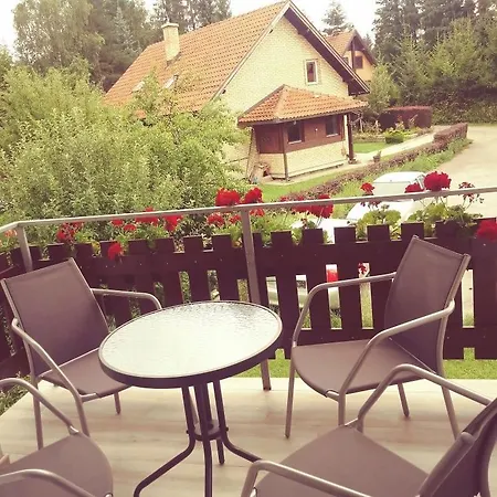 Apartment Velickovic