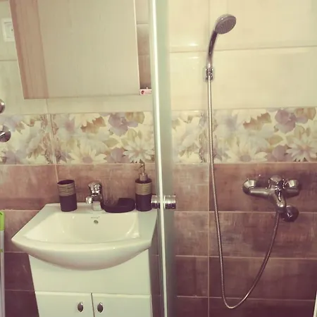 Velickovic Apartment Zlatibor