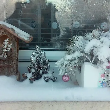 Velickovic Apartment *