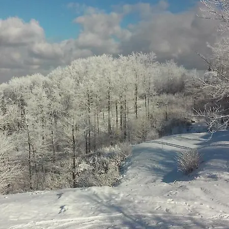 Appartement Velickovic