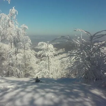 Appartement Velickovic