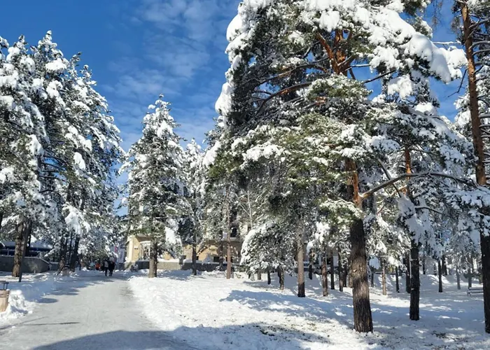 Velickovic Apartament Zlatibor