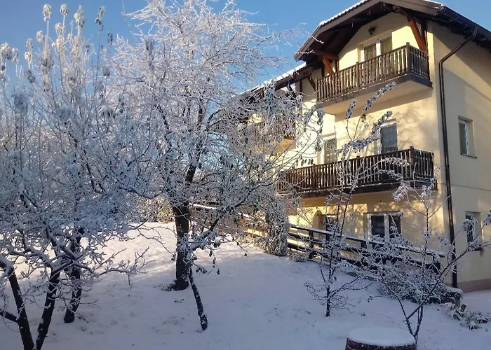 Velickovic Apartament