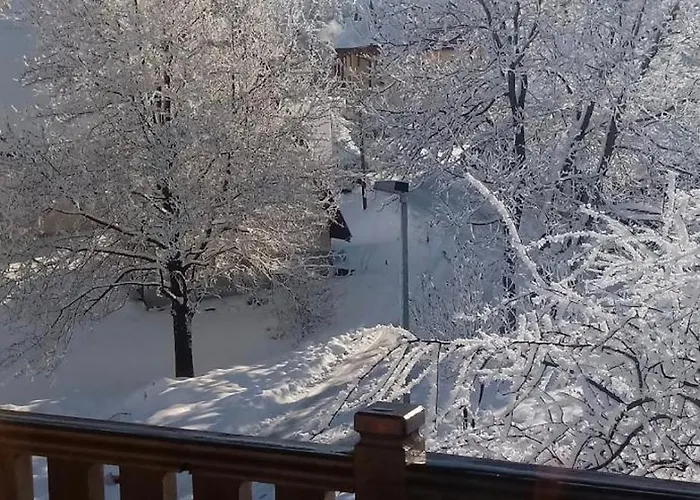 Velickovic * Zlatibor