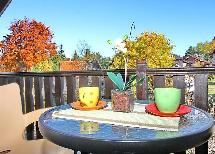 Apartament Velickovic *