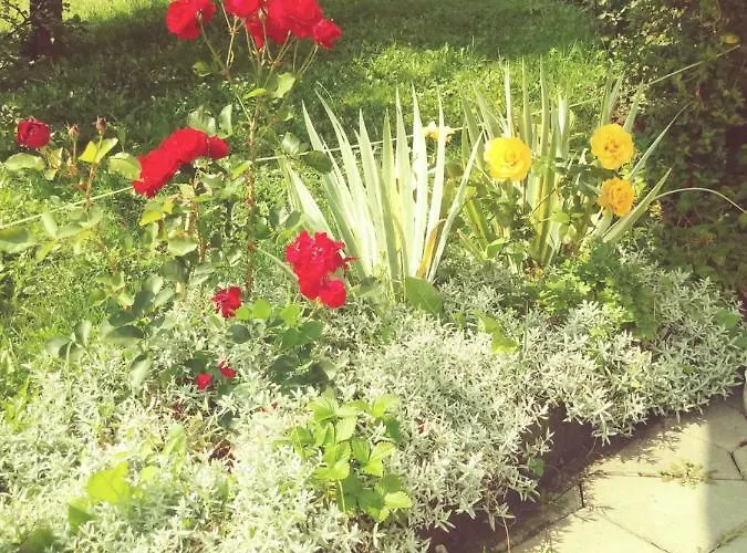 Velickovic * Zlatibor