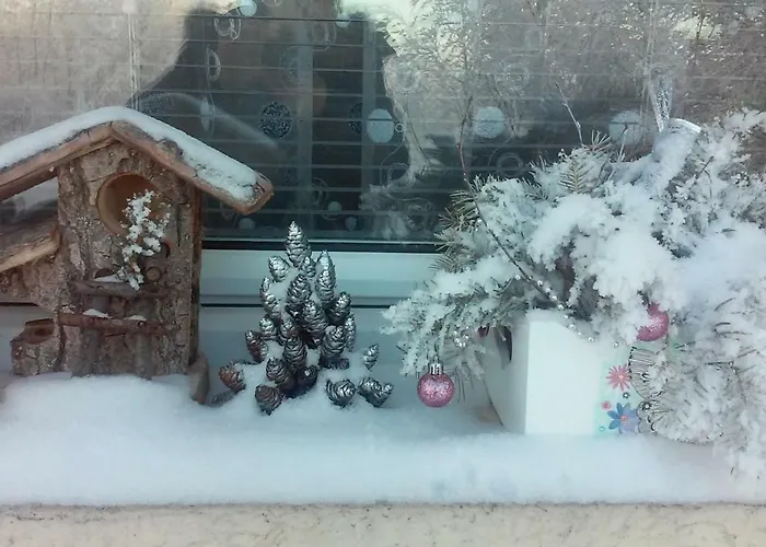 Velickovic Apartament *