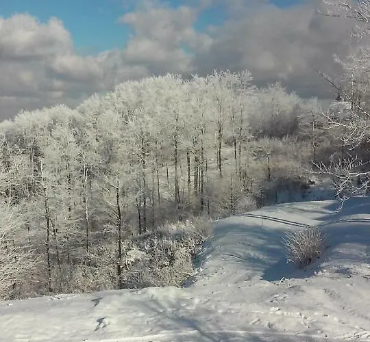 Apartament Velickovic