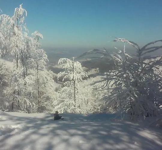 Apartament Velickovic