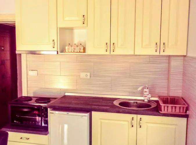 Apartament Velickovic Zlatibor