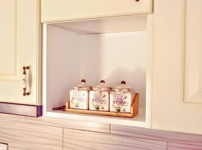 Velickovic Apartament